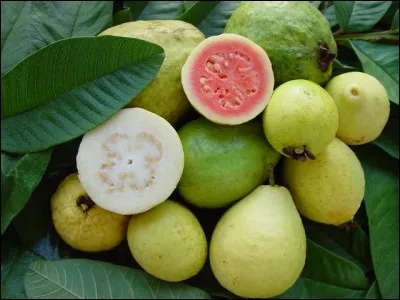 De quels fruits s'agit-il ?