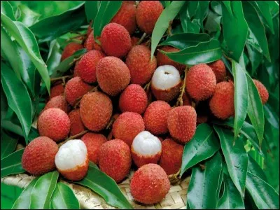 De quels fruits s'agit-il ?