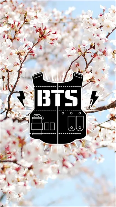 BTS est un groupe de garçons sud-coréens composé de :