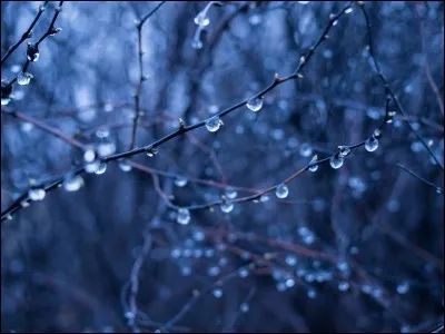 Parmi ces quatre souffrances, laquelle as-tu le plus de mal à gérer ?