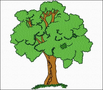 Est-ce que les arbres produisent de l'oxygène ?