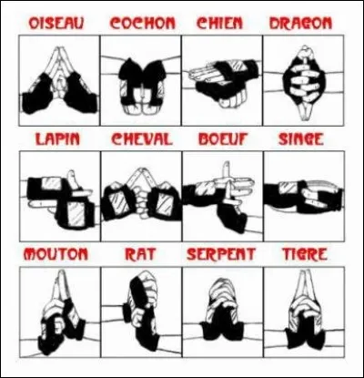 Qui a créé les mudras ?