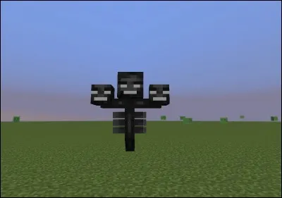 Que faut-il pour invoquer le Wither ?