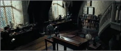 Qui est leur (nouveau) professeur de "défense contre les forces du mal" ?