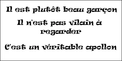 Laquelle de ces phrases contient une litote ?