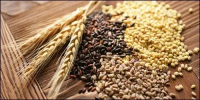 Parmi ces céréales, laquelle ne contient pas de gluten ?