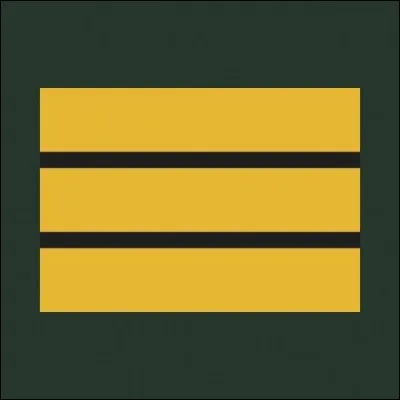 Plusieurs réponses attendues.
Chez les sapeurs-pompiers, il y a des grades spéciaux pour les :