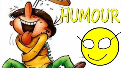 Humour - Quelle est la mamie qui fait peur aux voleurs ?