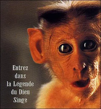 Cette photo est extraite de