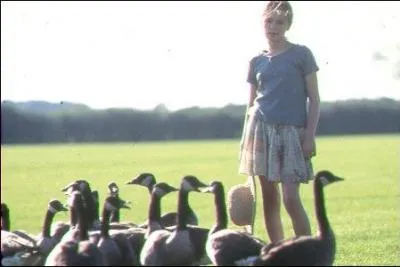 Cette photo est extraite de