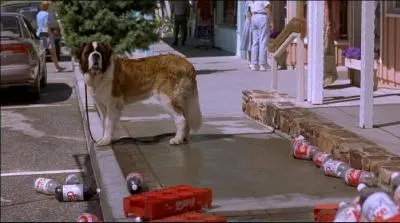 Cette photo est extraite de