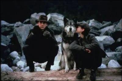 Cette photo est extraite de