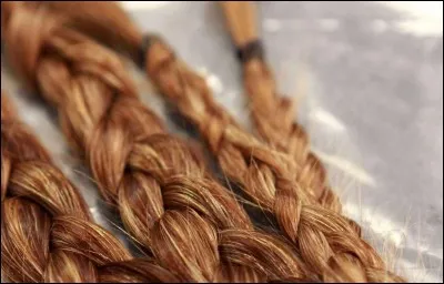 Tu préfères être :