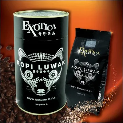Le "Kopi Luwak", le café le plus cher du monde, est confectionné à base de crottes de civette !