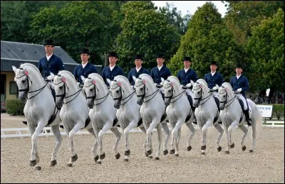 Ça, c'est un cadeau.