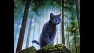 Qui a été son mentor ?