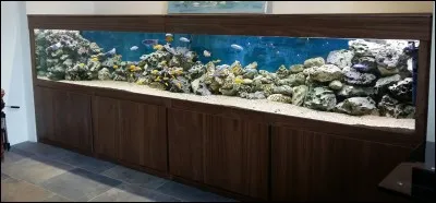 Les codes "T5 et T8" sont en rapport avec :