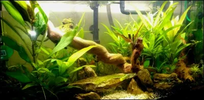 Qu'est-ce que le SIO2 ?