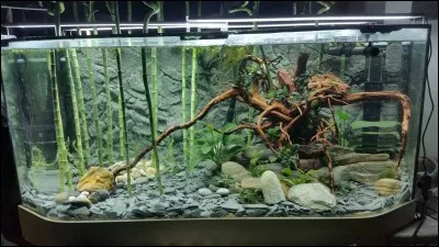 J'ai un ph de 6.9, un kh de 7. Quel taux idéal Co² devrait avoir mon aquarium ?