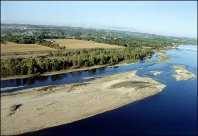 325 : en Centre-Val-de-Loire, dans la réserve nationale de Saint-Mesmin, il y a 325 espèces de ...