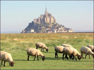 230 : l'agneau de pré-salé du Mont-Saint-Michel, nommé grévin, doit avoir pâturé au moins 230 jours dans les herbes de la baie pour mériter ce nom.