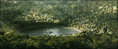 Quels Hunger Games a-t-il gagnés ?