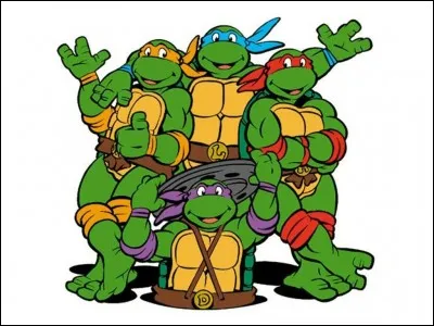Quel est le nom de la tortue orange dans la série ''Les Tortues Ninja'' ?