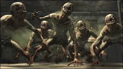 Quel est le vrai nom des Gollums ?