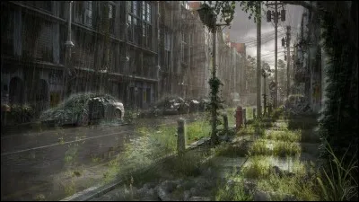 Les rues de ta ville sont remplies de cadavres, les plantes poussent partout et tout est abandonné. Tu tombes sur un magasin qui n'a pas été volé, que prends-tu ?