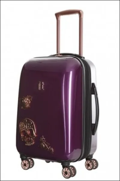 Quelle est la chose que vous vous devez absolument d'emmener dans vos bagages ?