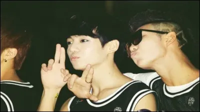 Quelle couleur préférée Jungkook et Rap Monster ont-ils en commun ?