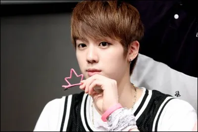 Quelle est la passion de Jin ?