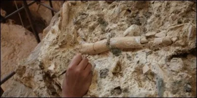 Où a-t-on retrouvé les restes du plus anciens hommes connus en France ?