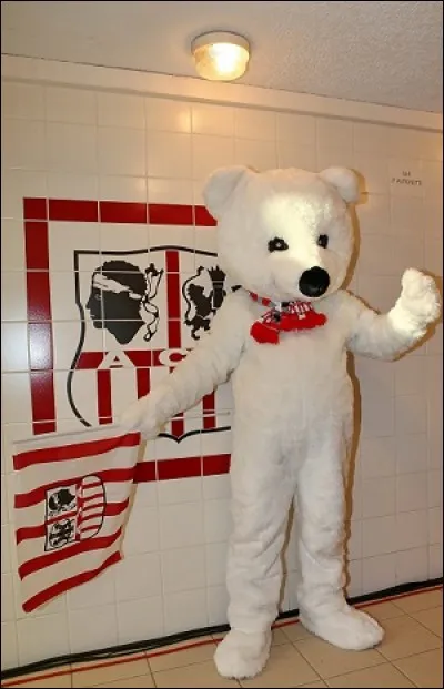 De quel joueur provient l'ours emblème du club du fait de sa pilosité très développée ?