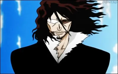 De quel manga provient cette image : "One Piece", "Naruto" ou "Bleach" ?