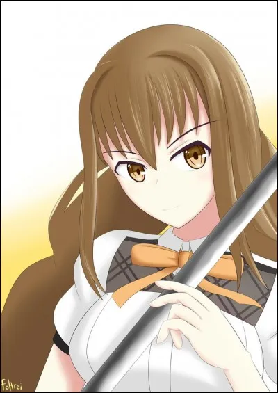 Quel est le dernier adversaire que doit affronter Ikki ?