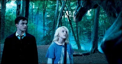 Comment s'appellent les cr&eacute;atures, dans le cinqui&egrave;me volet, que seuls Luna et Harry peuvent voir ?
