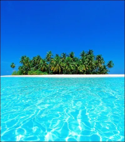 Choisis l'image la plus belle (selon toi) :