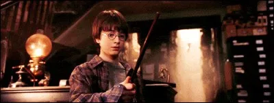 Description de la baguette de Harry :