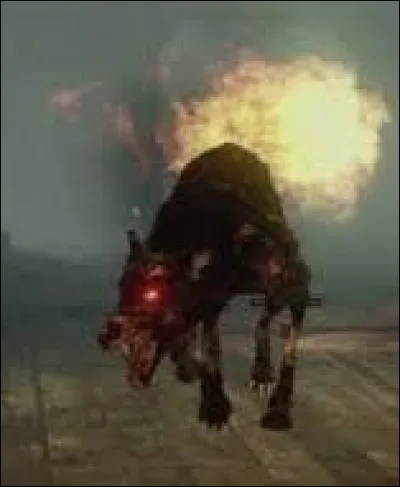 Sur quelle map les chiens n'apparaissent-ils pas ?