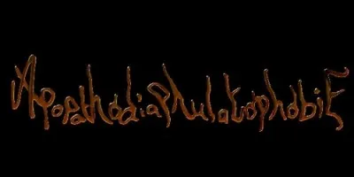 L'un des mots les plus longs de la langue française est "apopathodiaphulatophobie". Quelle est sa signification ?