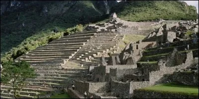 Parmi ces civilisations pré-colombiennes, laquelle ne fait pas partie de la Méso-Amérique ?