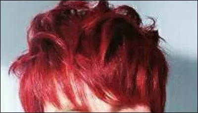 À qui appartiennent ces cheveux ?