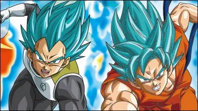 Goku et Vegeta ont atteint un mode, lequel ?