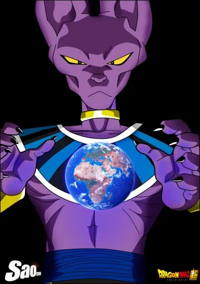 Qui est Beerus ?