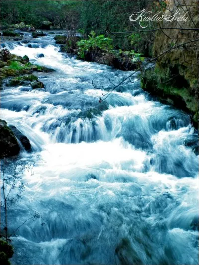 Quels flux traversent les espaces maritimes ?