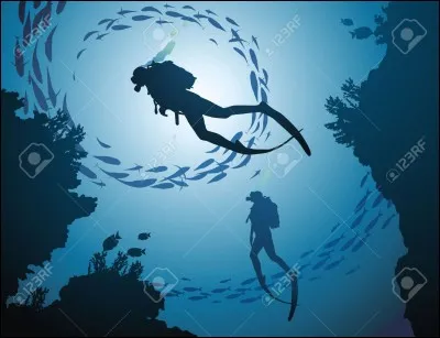 Comment s'appelle la principale façade maritime en Europe ?