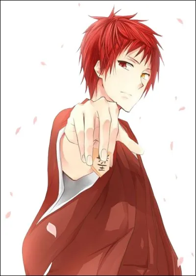 Seijûrô Akashi- Quelles informations sont fausses le concernant ?