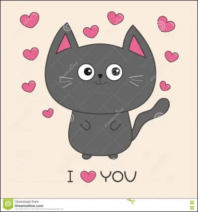 Si je te dis : "J'aime les chats.", tu réponds...