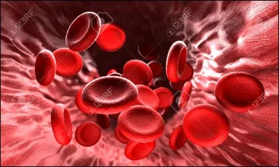 Les globules rouge du sang sont utiles à...